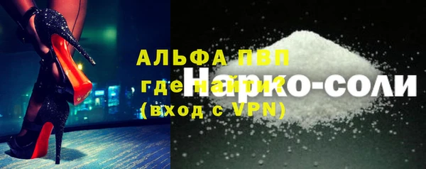 прущие грибы Горнозаводск
