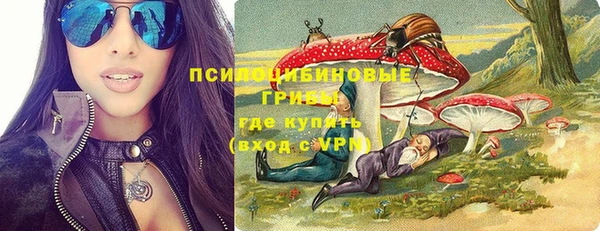 PSILOCYBIN Вуктыл