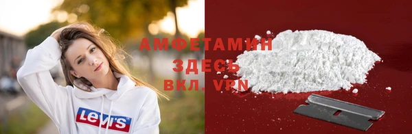 прущие грибы Горнозаводск
