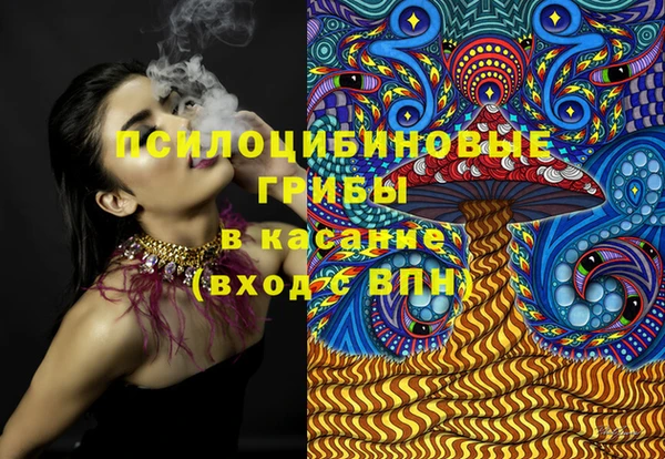 МДПВ Гвардейск