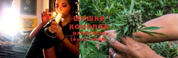 прущие грибы Горнозаводск