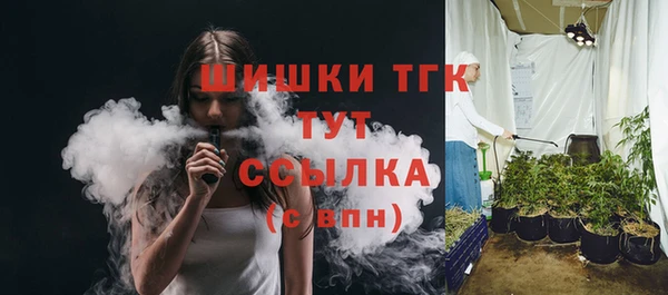 прущие грибы Горнозаводск
