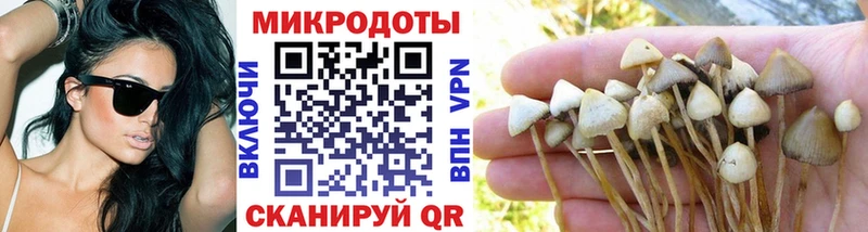 даркнет сайт  Губкин  OMG зеркало  Псилоцибиновые грибы GOLDEN TEACHER 