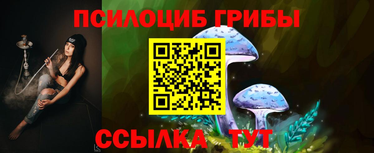 Псилоцибиновые грибы ЛСД Губкин