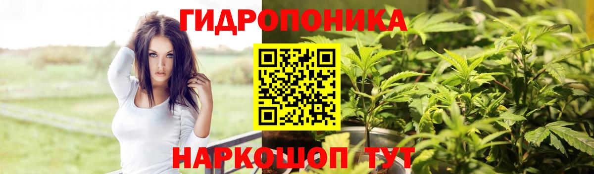 Губкин  Каннабис индика  Марихуана White Widow  Вход с VPN  Канабис Bruce Banner 